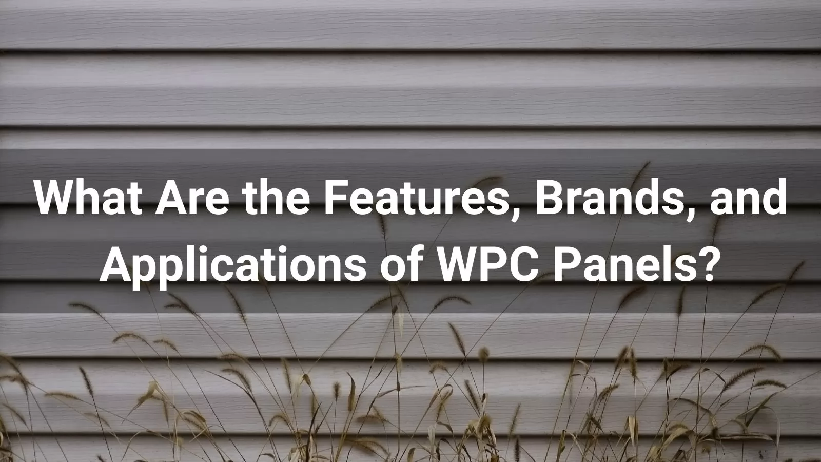 What Are the Features Brands and Applications of WPC Panels